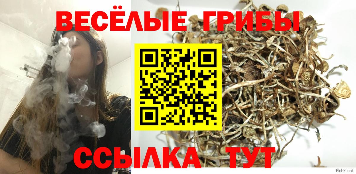 Галлюциногенные грибы Psilocybe  Галлюциногенные грибы Psilocybine cubensis  Вход с VPN  Кунгур 
