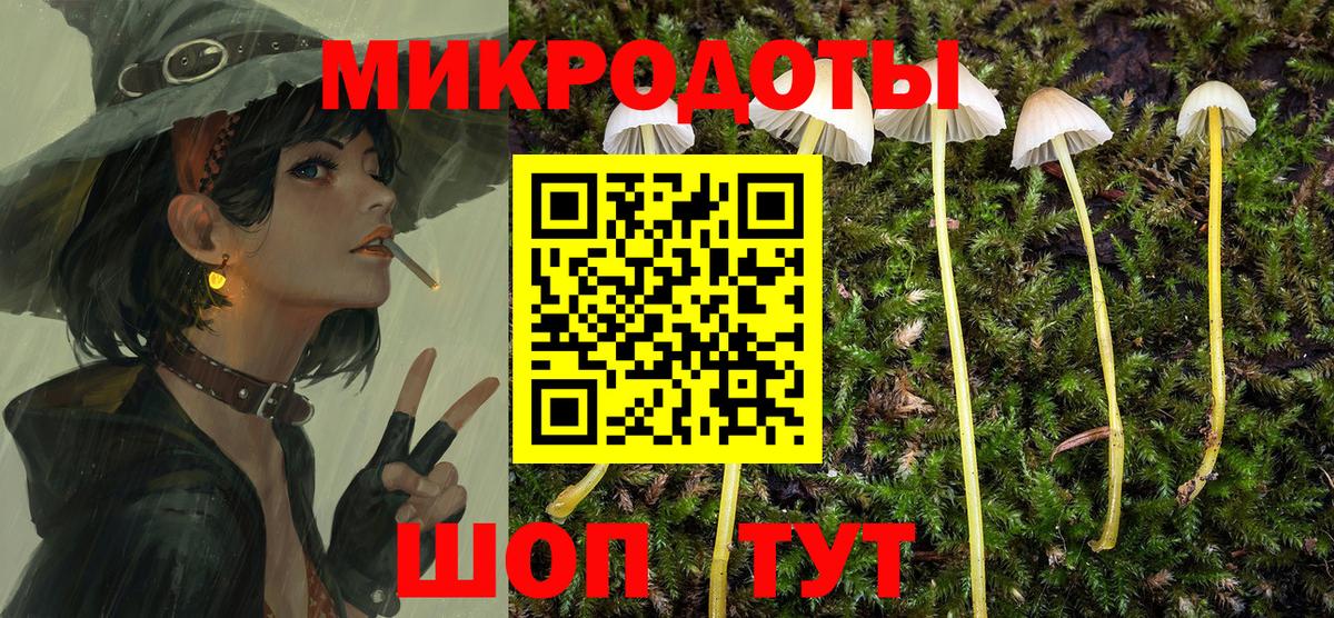 Псилоцибиновые грибы MAGIC MUSHROOMS Кунгур